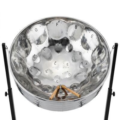 Steel pan player